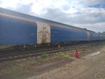 CPS FLT-302448-2